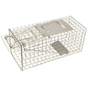 Squirrel Trap