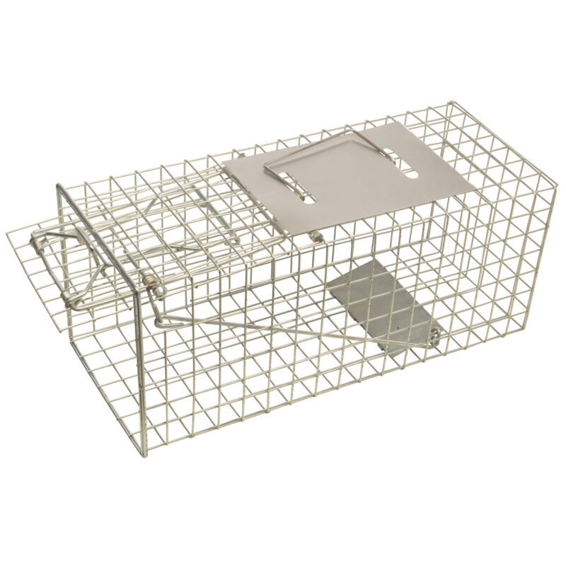 Squirrel Trap